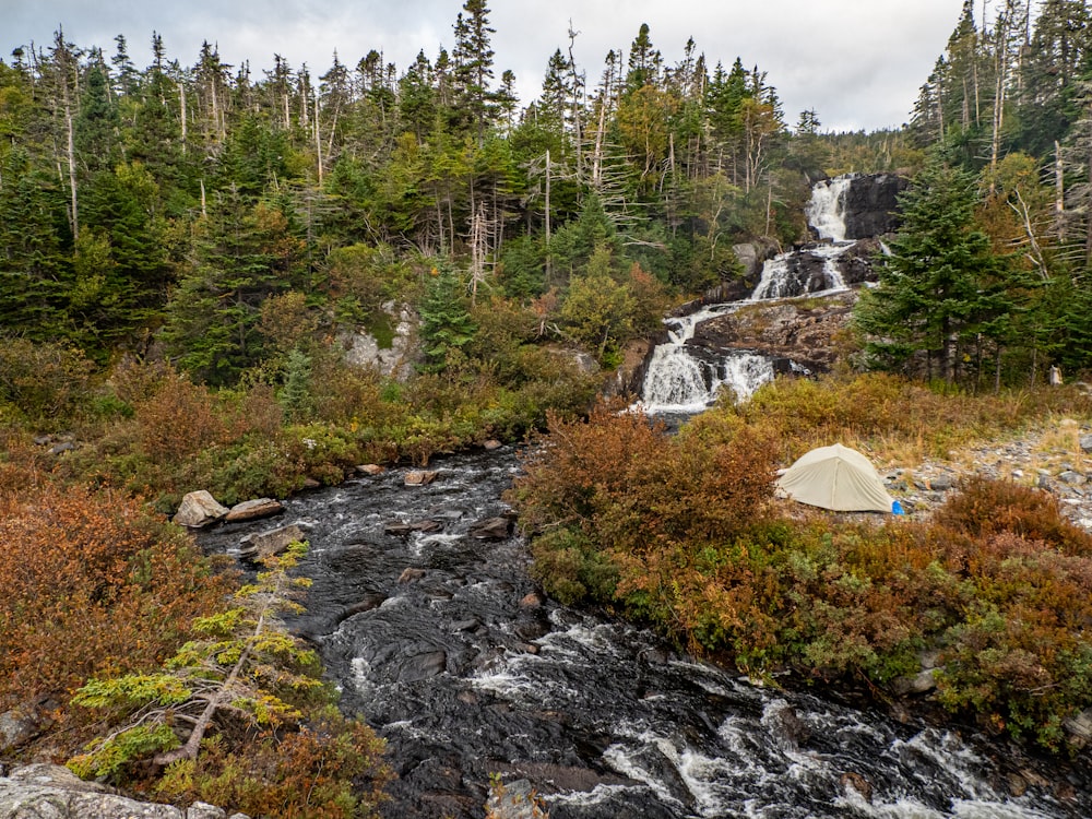 a small waterfall in the middle of a forest