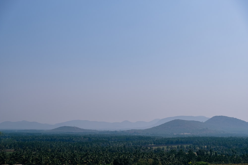 a view of mountains and trees from a hill