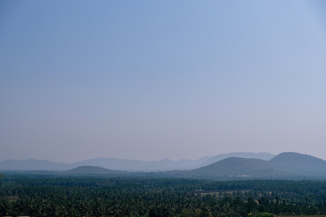 Himalayan Ayurveda Retreats