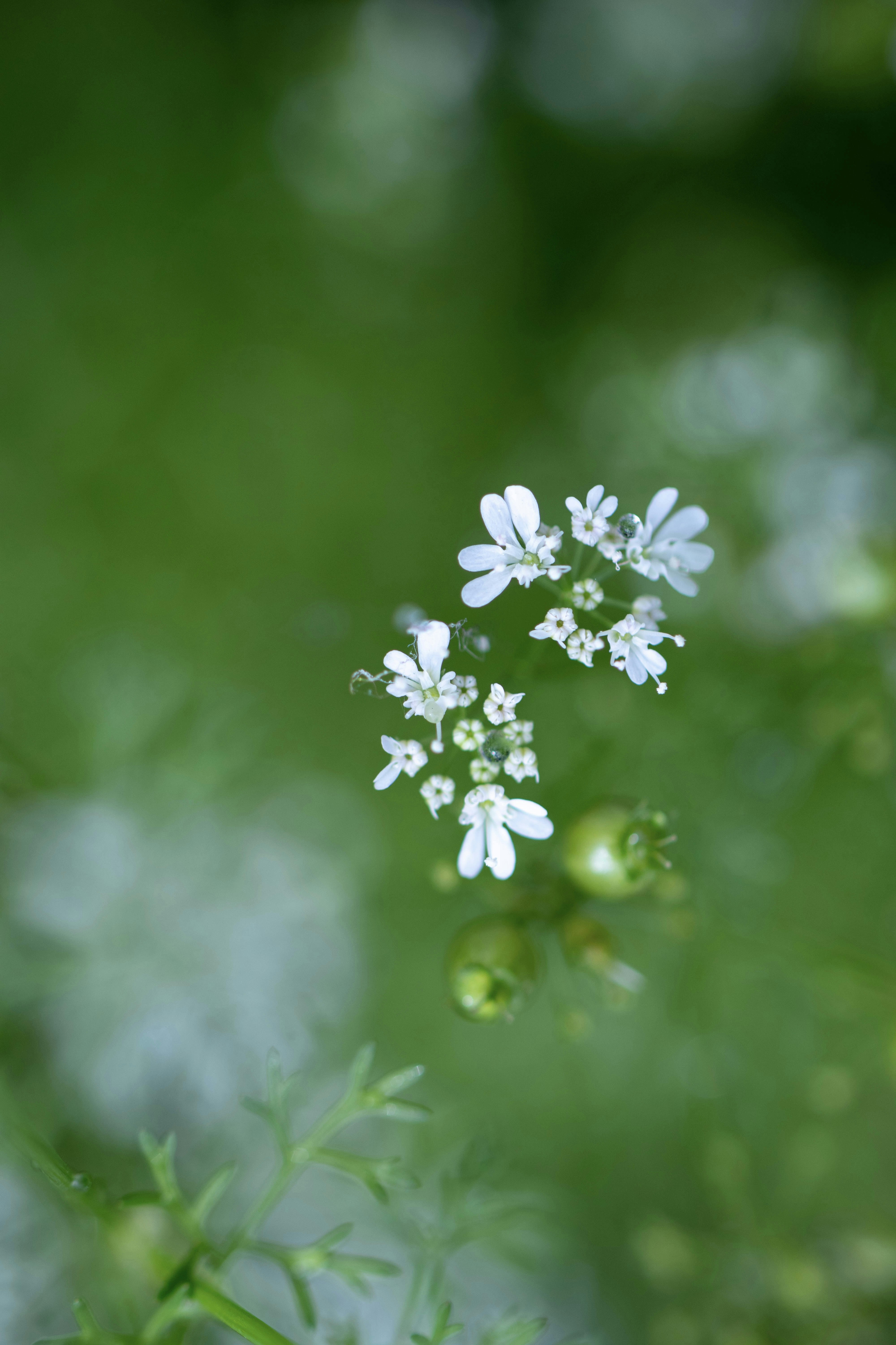 Photo by vinod_choudhary_084