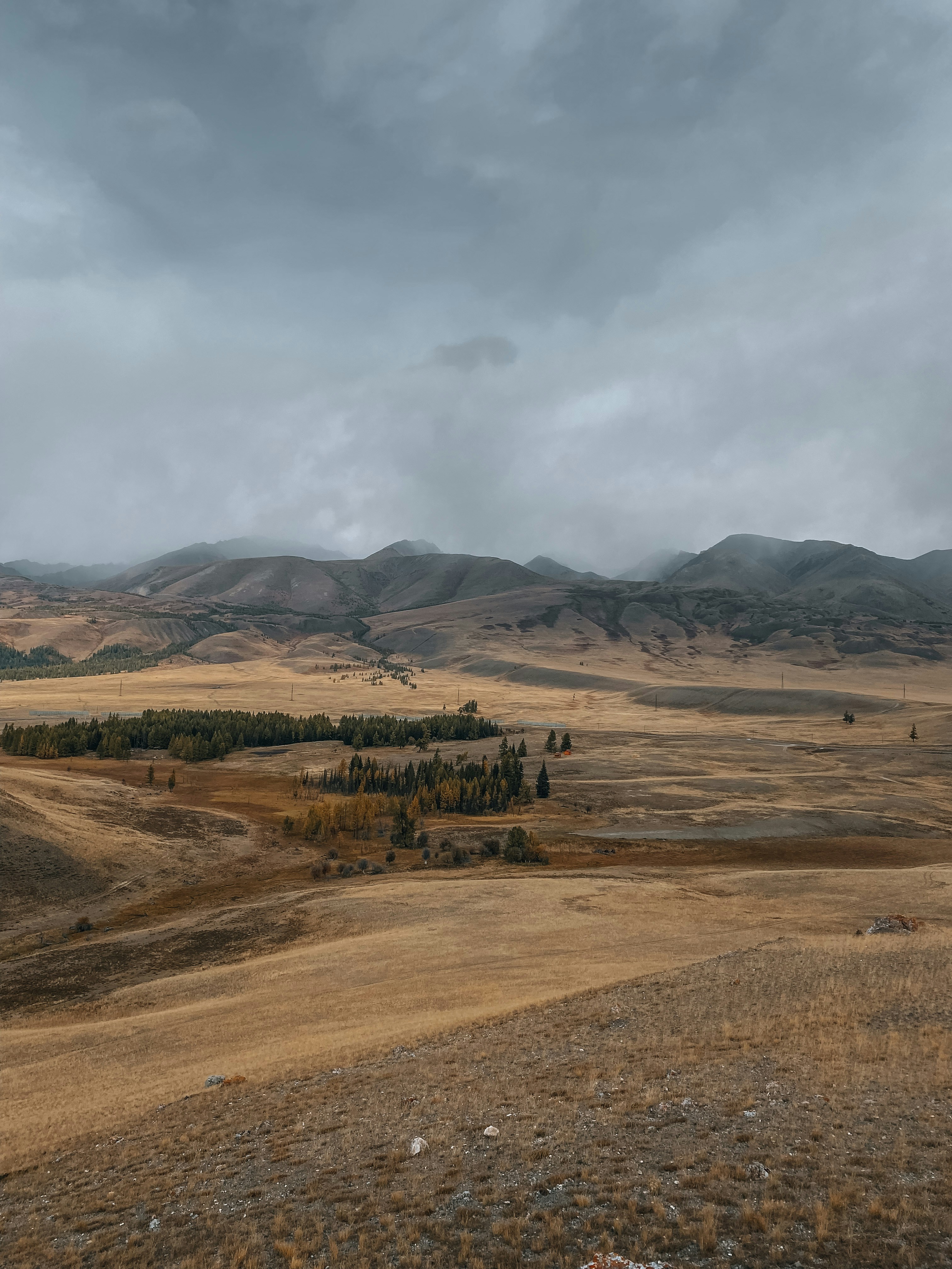 Photo by kateshtabnykh