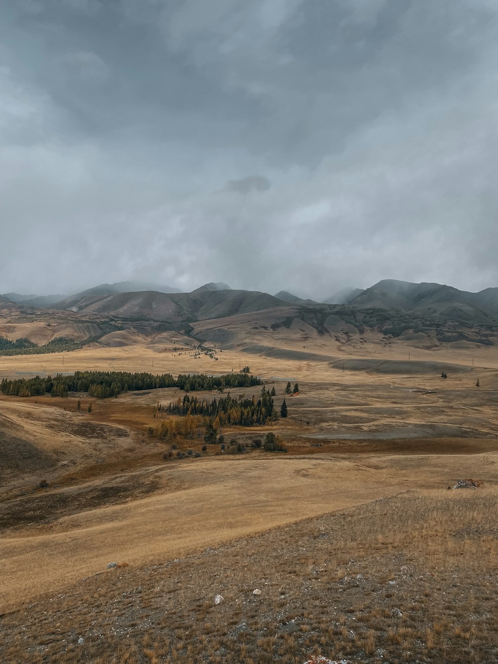 a field with mountains in the background under a cloudy sky