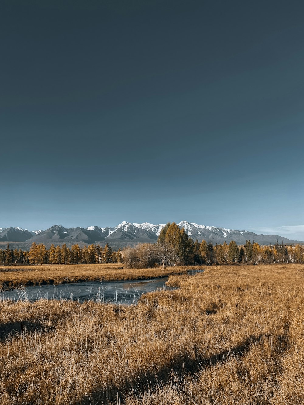 a field with a river and mountains in the background