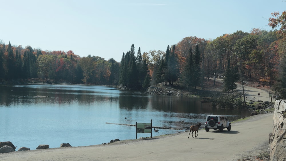 um carro estacionado ao lado de uma estrada ao lado de um lago