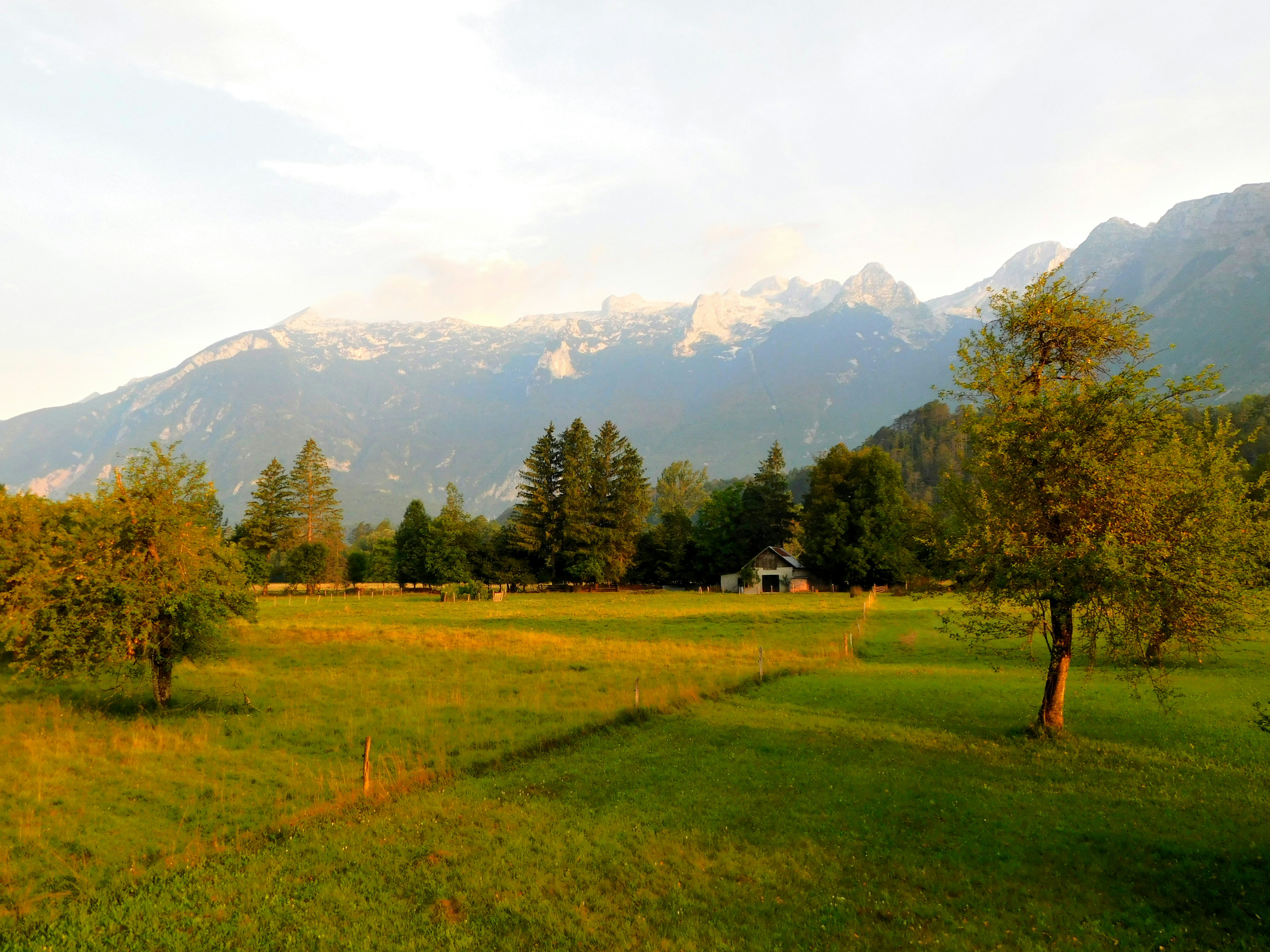 A grassy field with trees and mountains in the background photo – Free ...