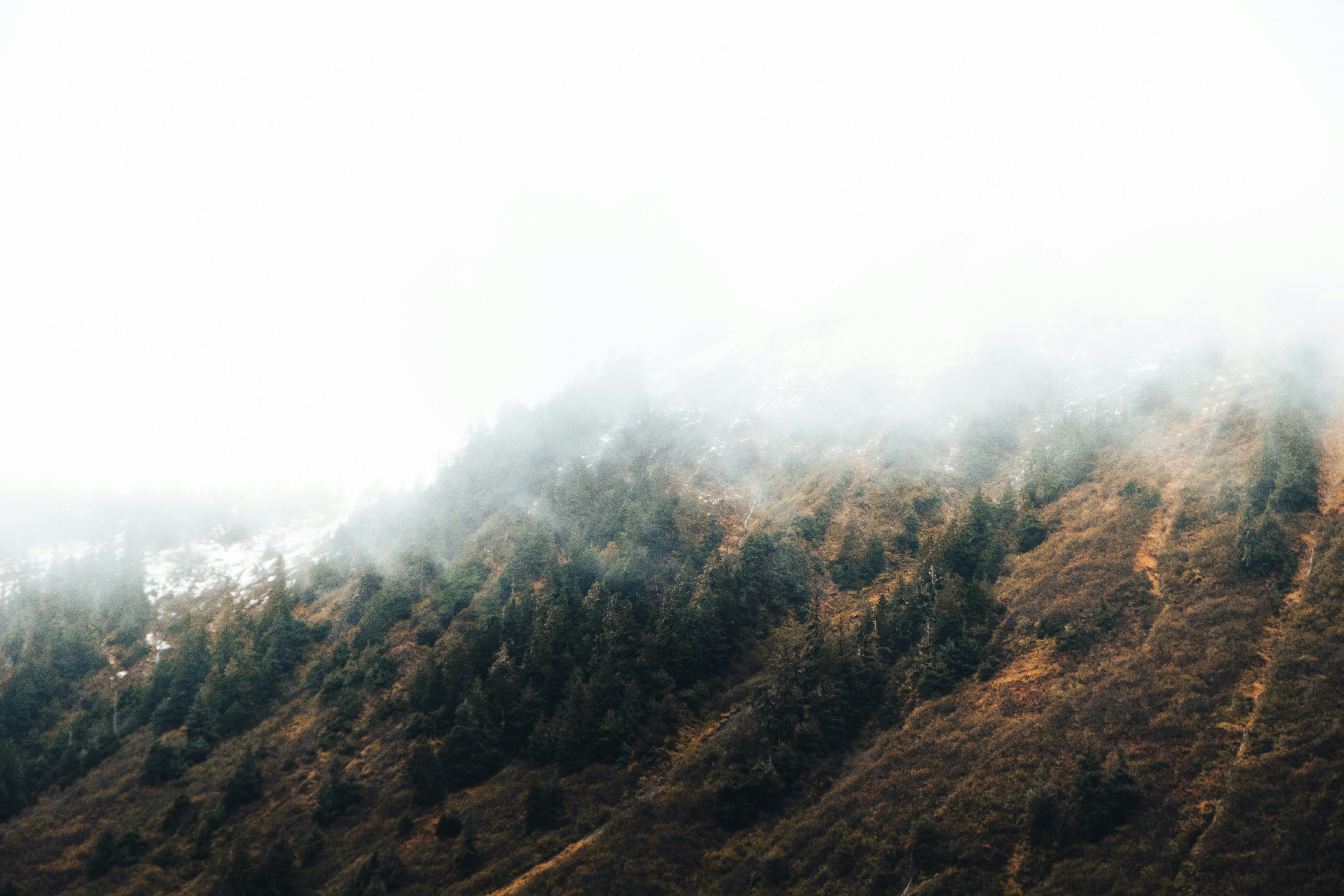 Photo by northernstatemedia