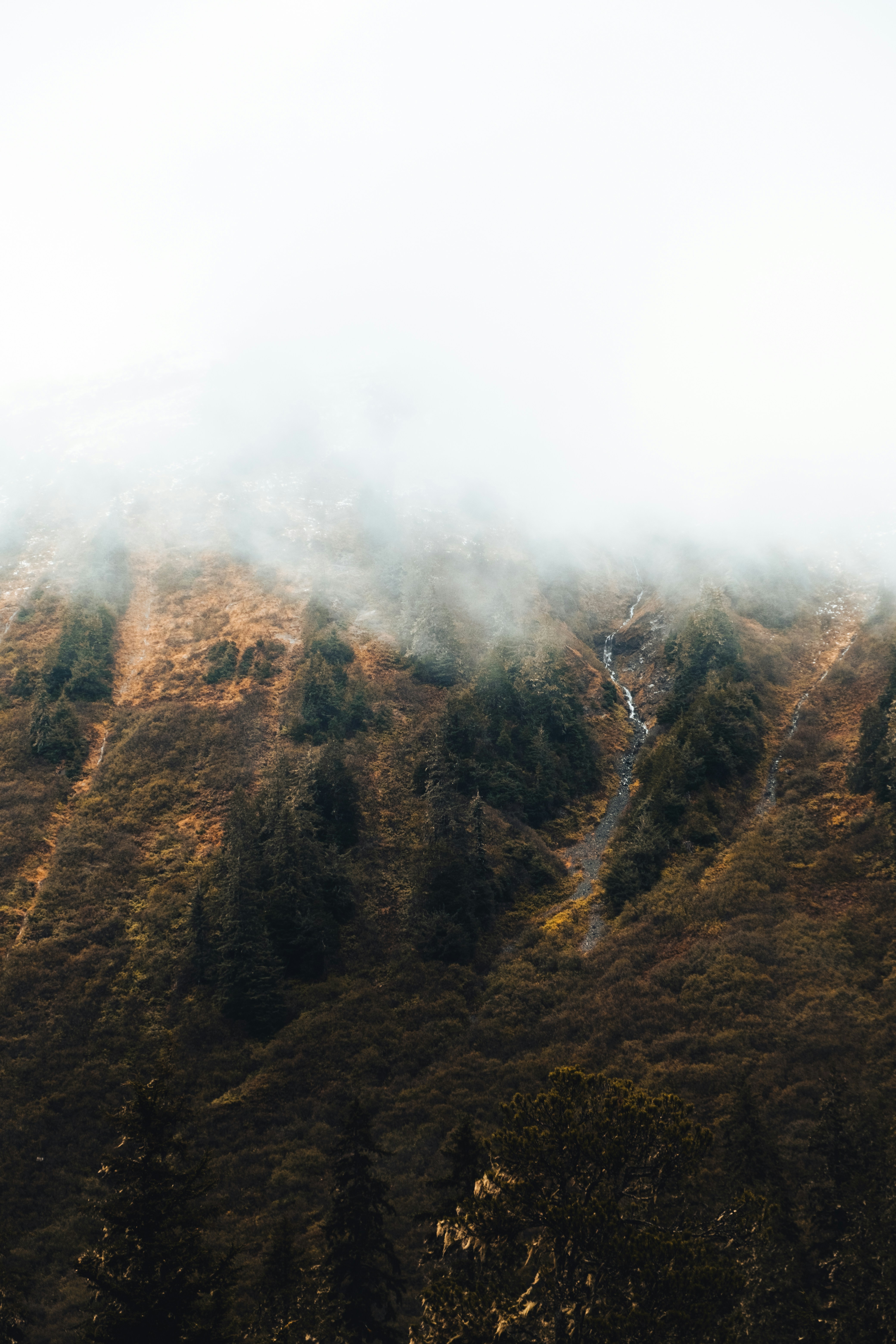 Photo by northernstatemedia