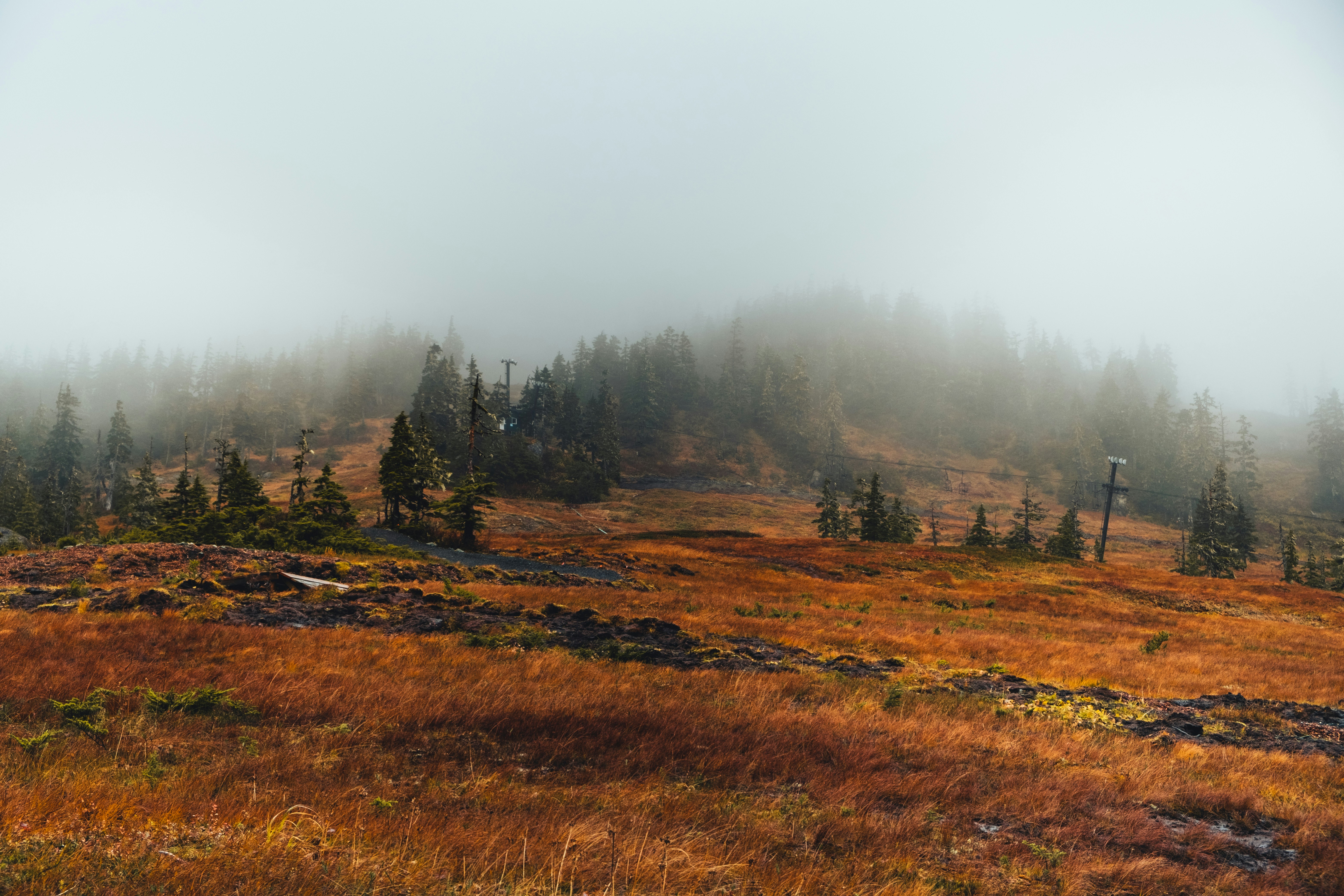 Photo by northernstatemedia