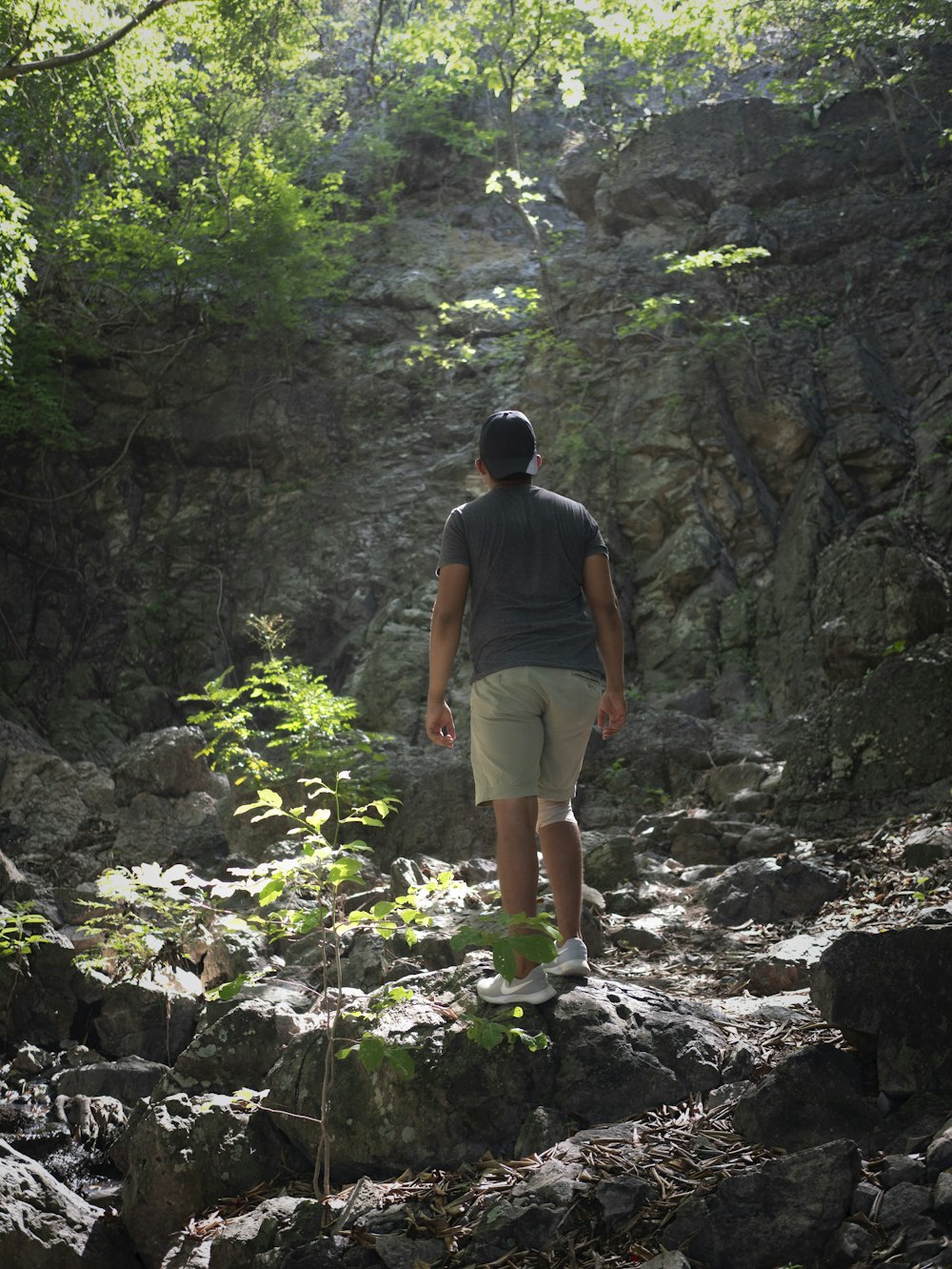 a man standing on a rock in the middle of a forest