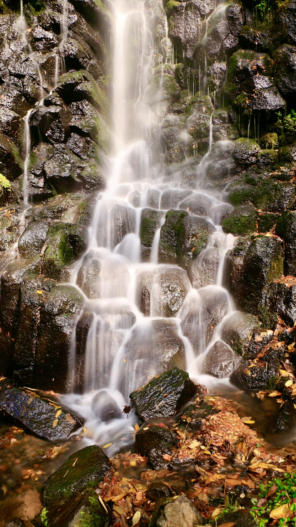 a small waterfall in the middle of a forest