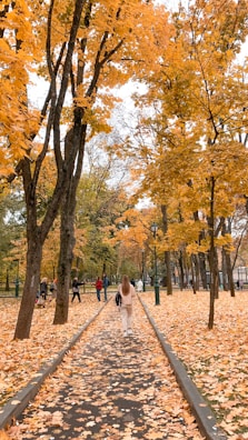 A joyful walk in the park with colorful autumn leaves underfoot.