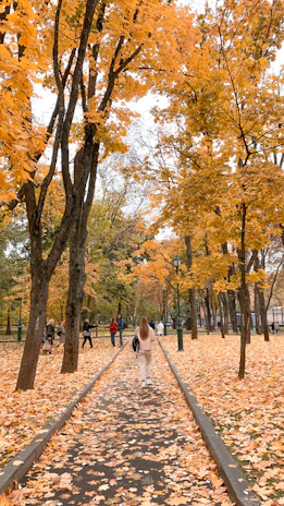 Central Park in autumn with golden leaves and people enjoying a walk