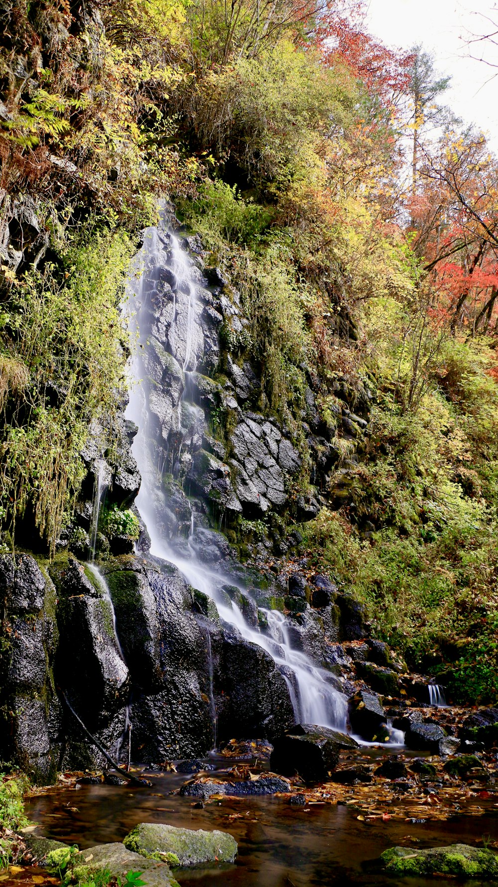 a waterfall in the middle of a forest