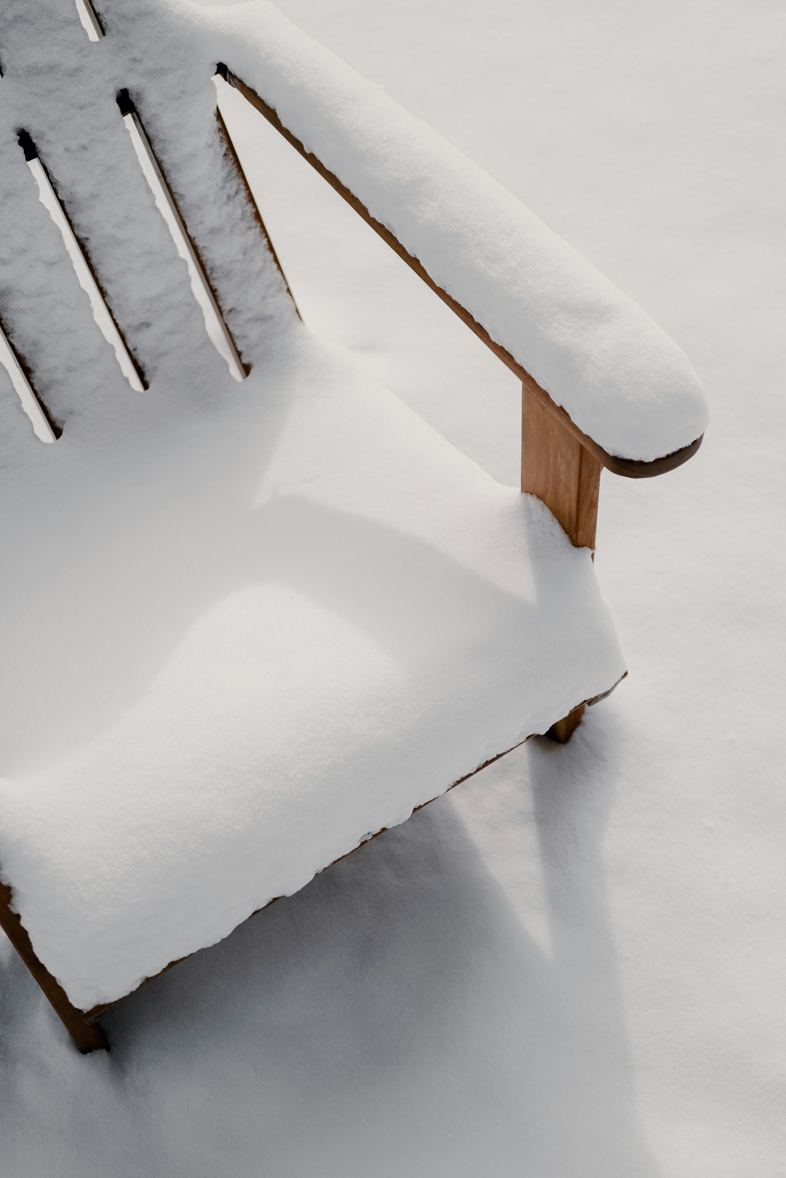 Photo by thommilkovic