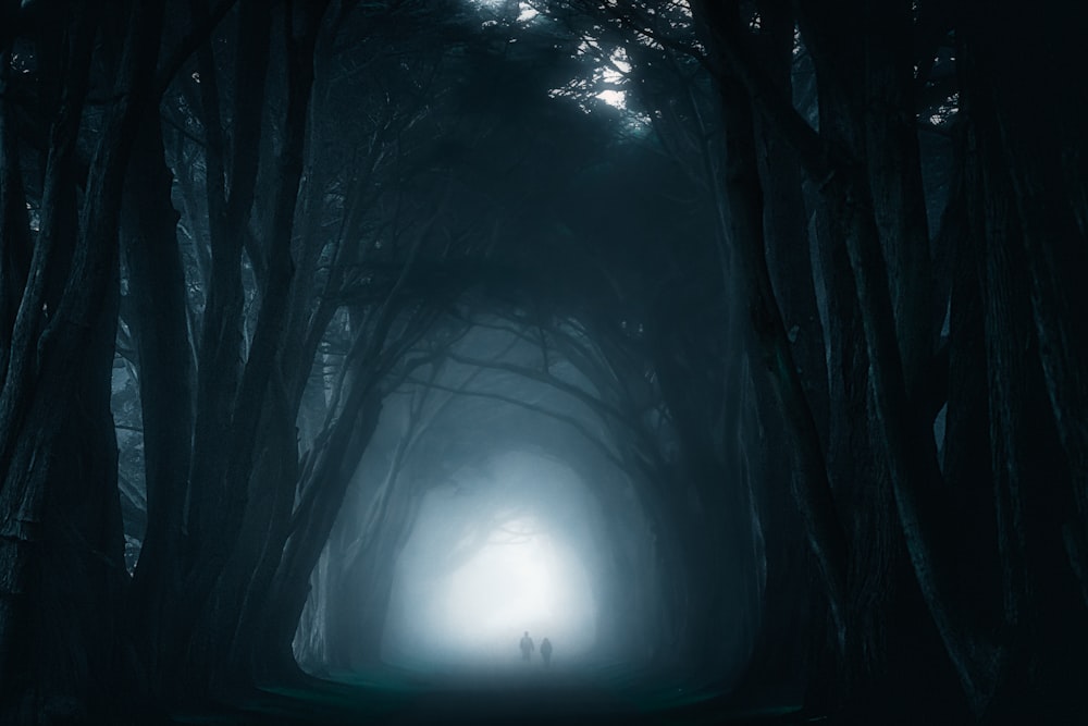 una persona in piedi nel mezzo di una foresta oscura