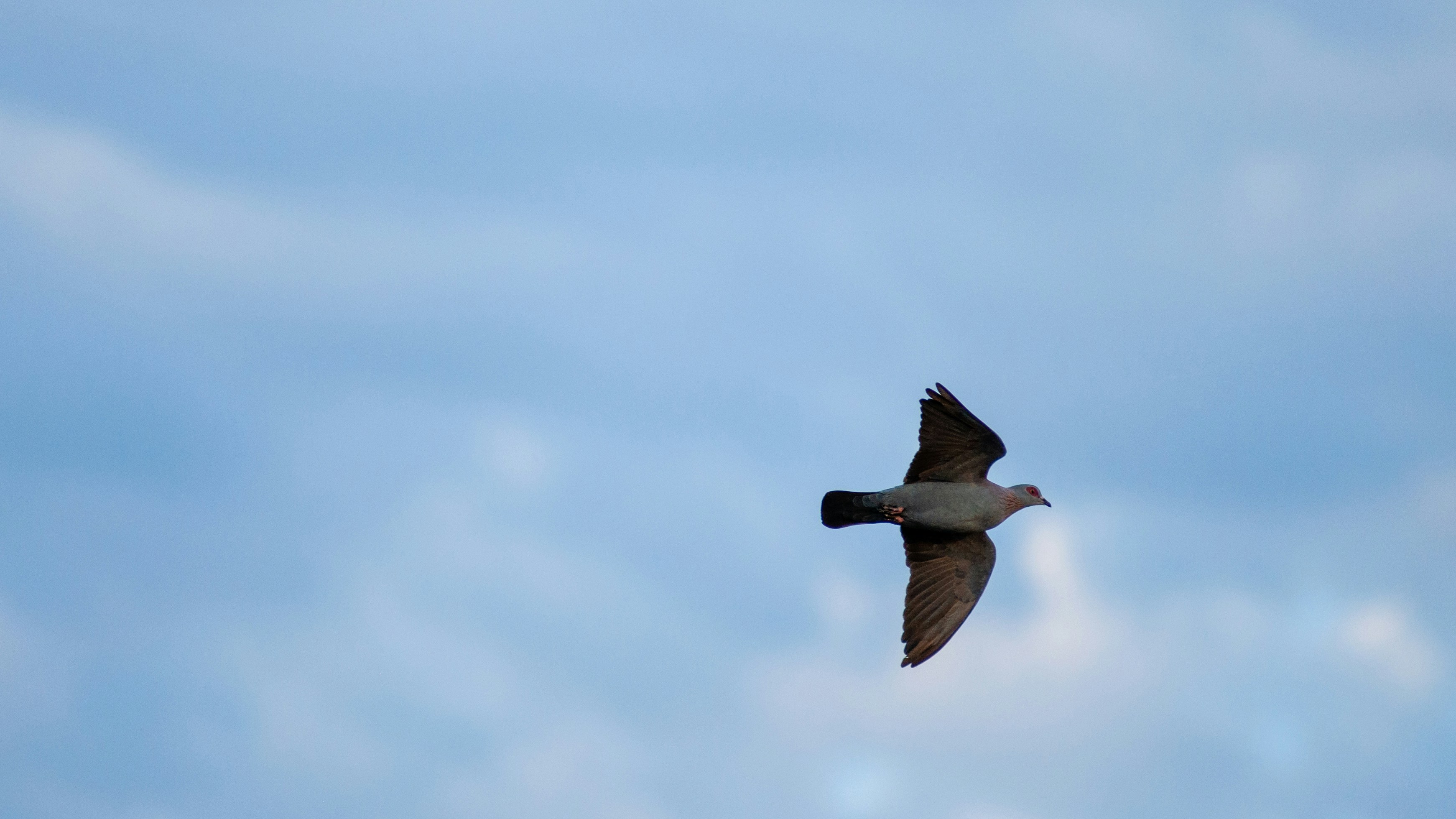 Photo by stewardesign