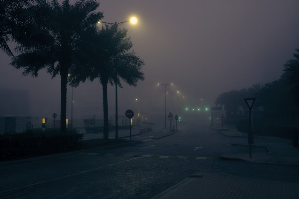 a foggy street with palm trees and street lights