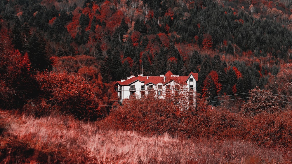 a red and white house in the middle of a forest