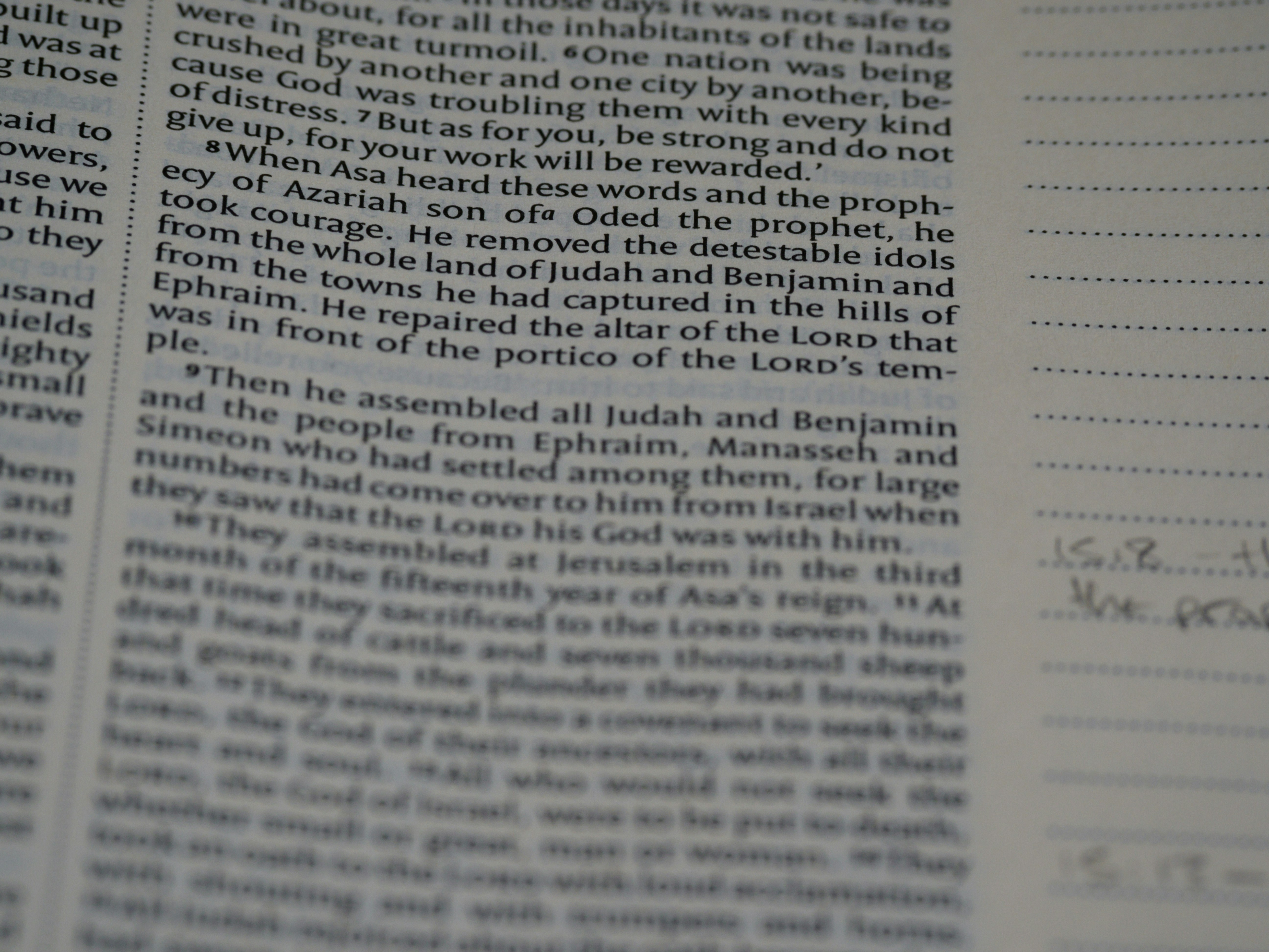 Photo by brett_jordan