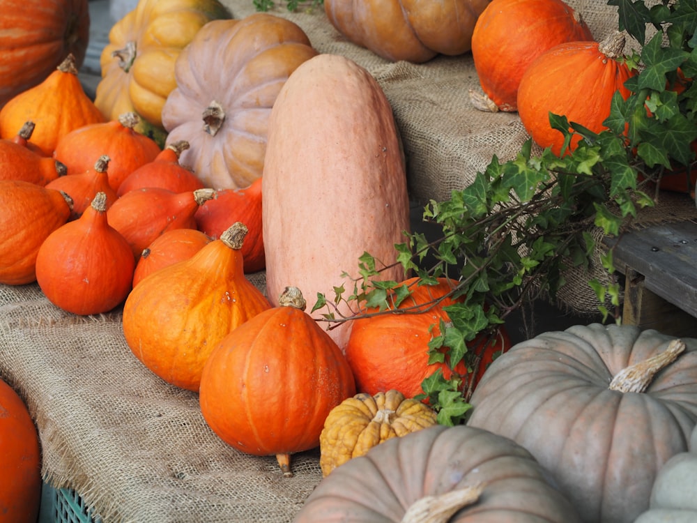 a display of pumpkins and gourds on a table