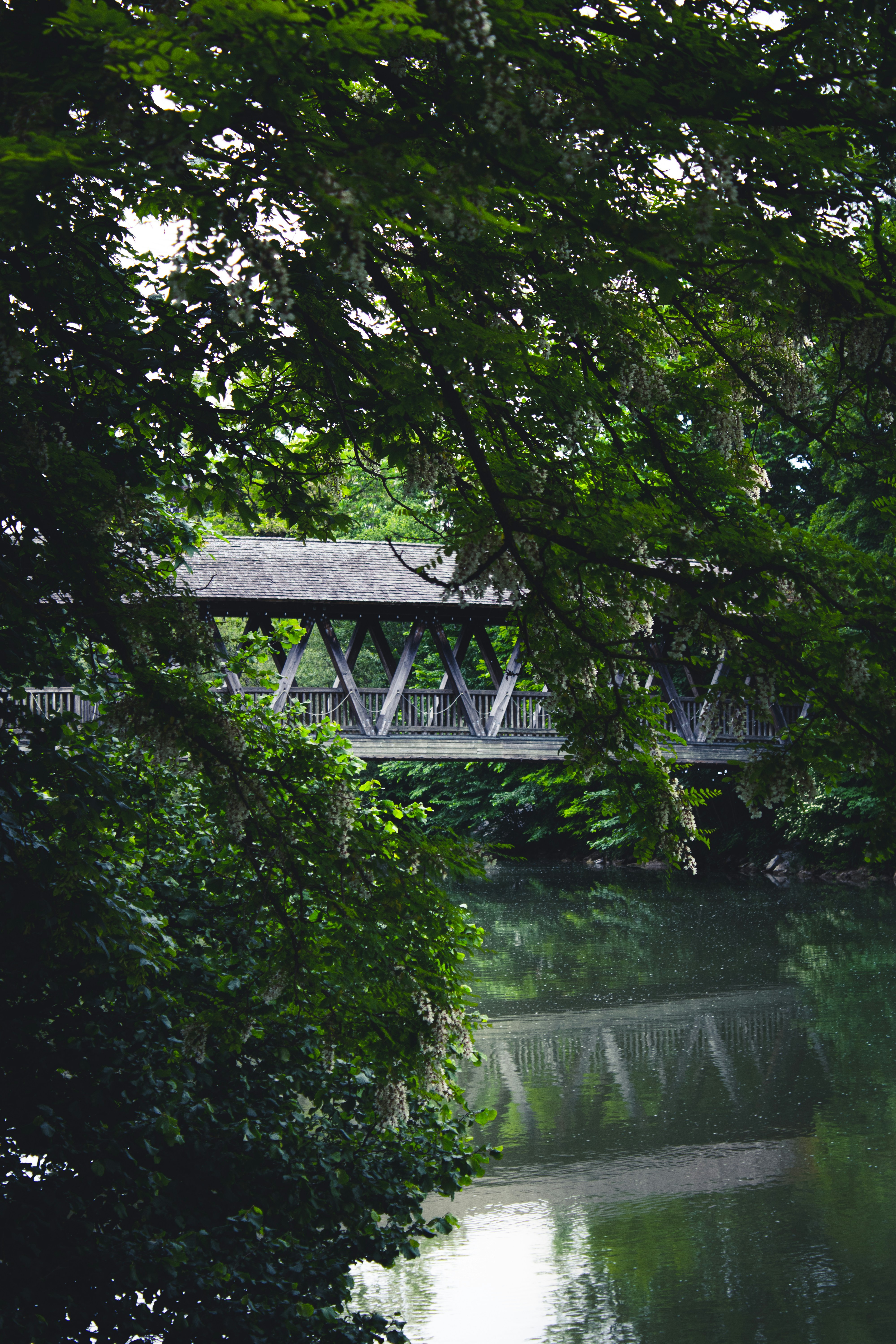 Photo by trenchophotography