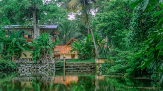 A serene landscape with lush green vegetation surrounding a small house with an orange-tiled roof. The house sits beside a calm body of water, reflecting the vibrant greenery. Tall palm trees and dense foliage create an enveloping natural setting.