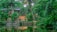 A serene landscape with lush green vegetation surrounding a small house with an orange-tiled roof. The house sits beside a calm body of water, reflecting the vibrant greenery. Tall palm trees and dense foliage create an enveloping natural setting.