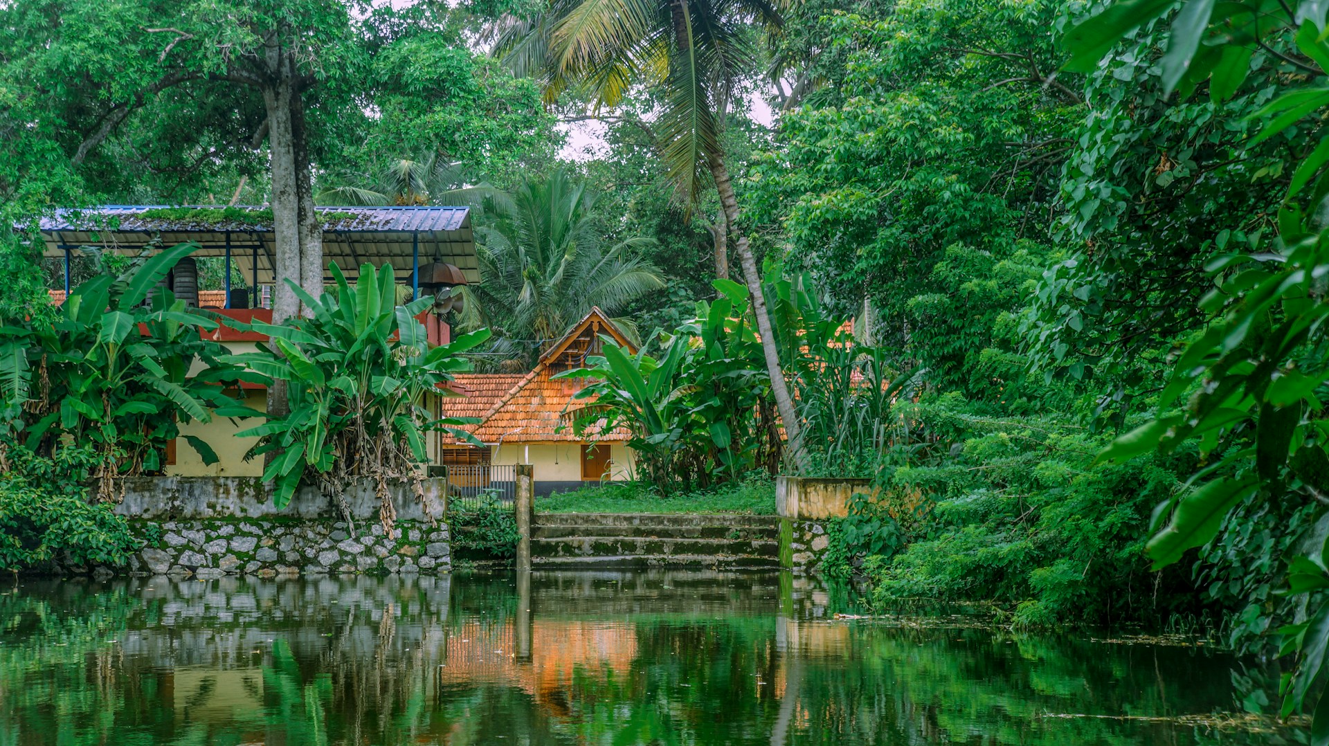 woman wearing yellow long-sleeved dress under white clouds and blue sky during daytime