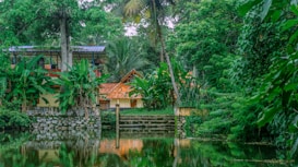 A serene landscape with lush green vegetation surrounding a small house with an orange-tiled roof. The house sits beside a calm body of water, reflecting the vibrant greenery. Tall palm trees and dense foliage create an enveloping natural setting.