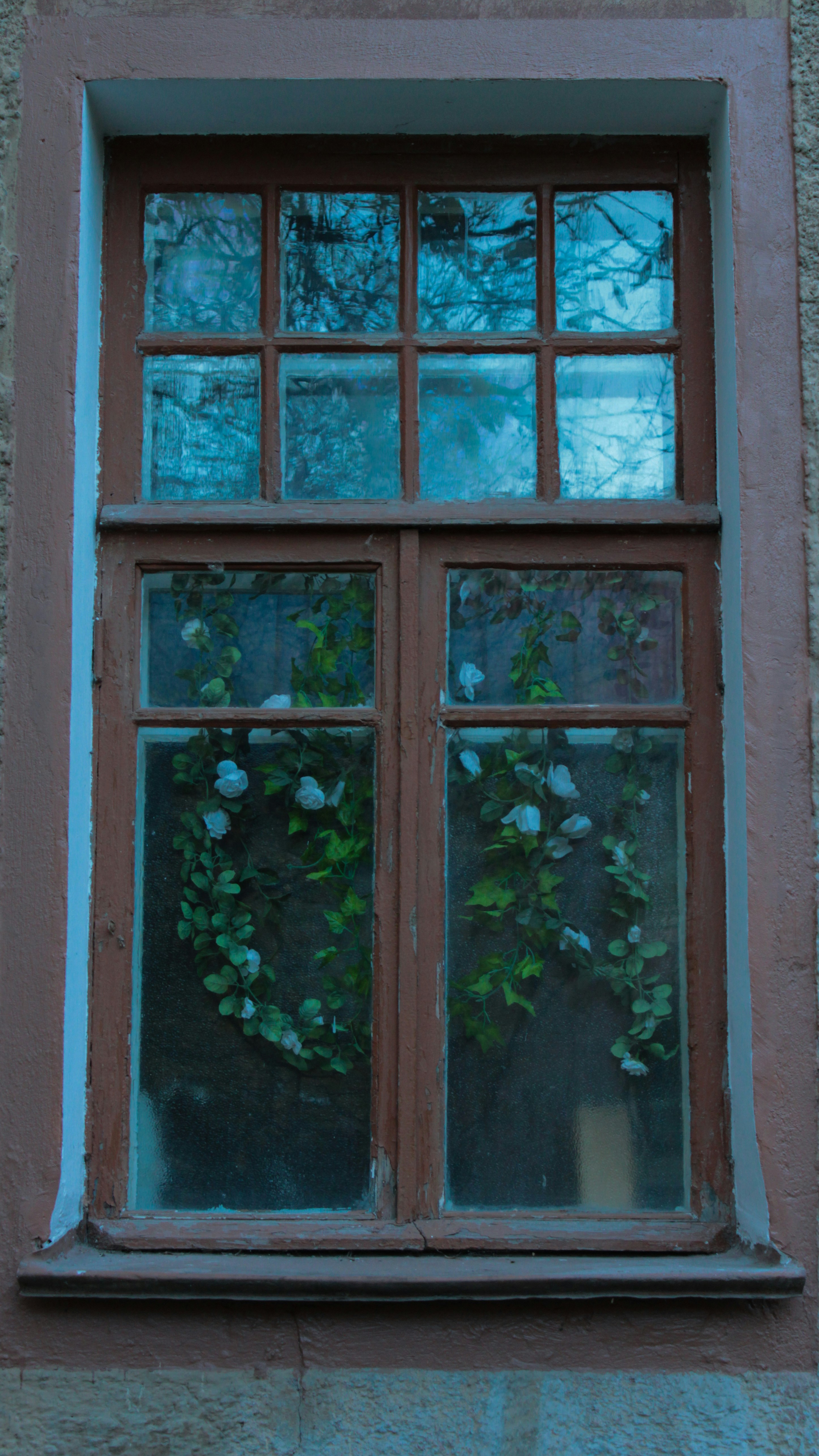 Photo by thievesdestiny