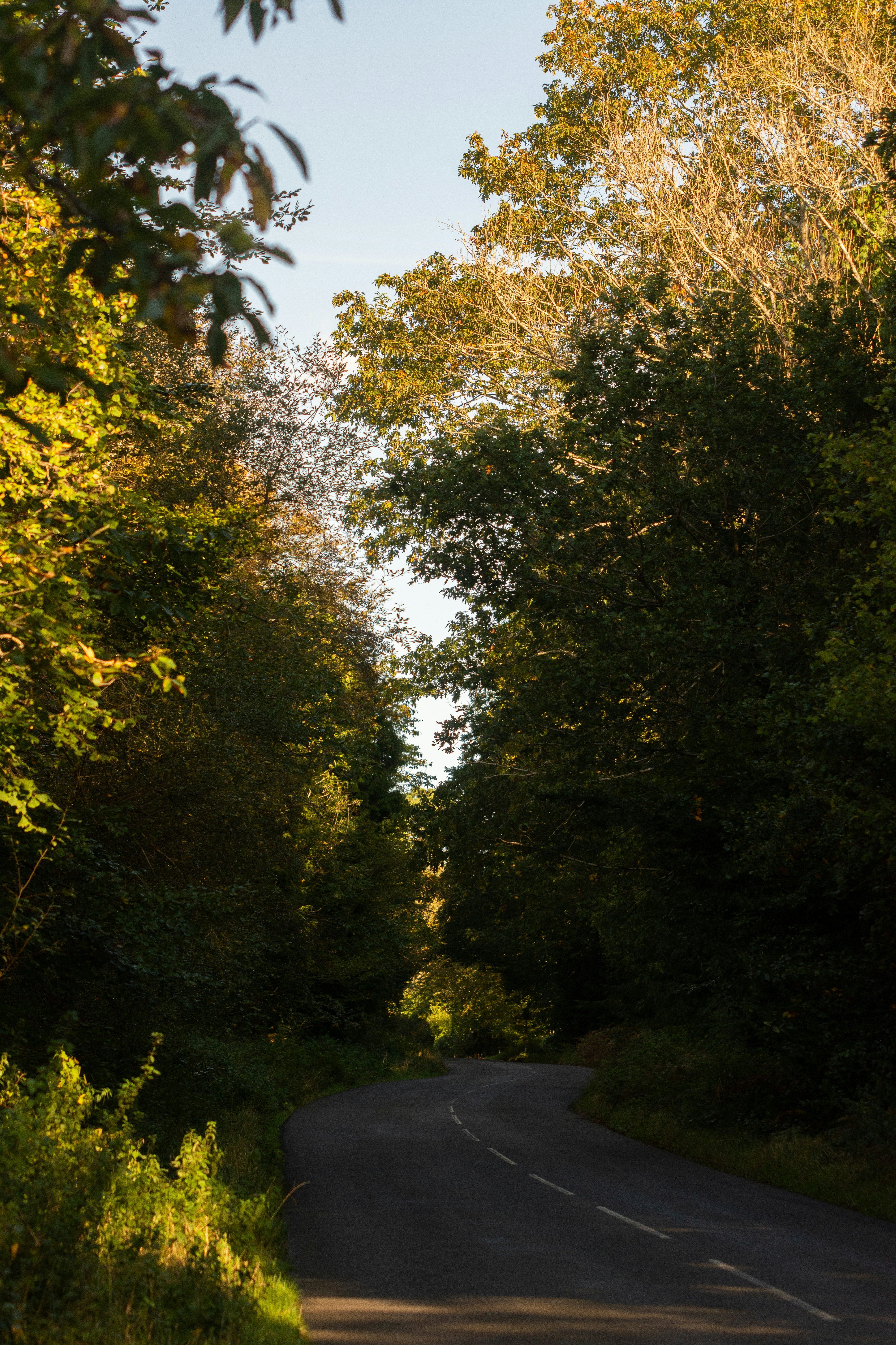 Photo by ollie_with_a_collie