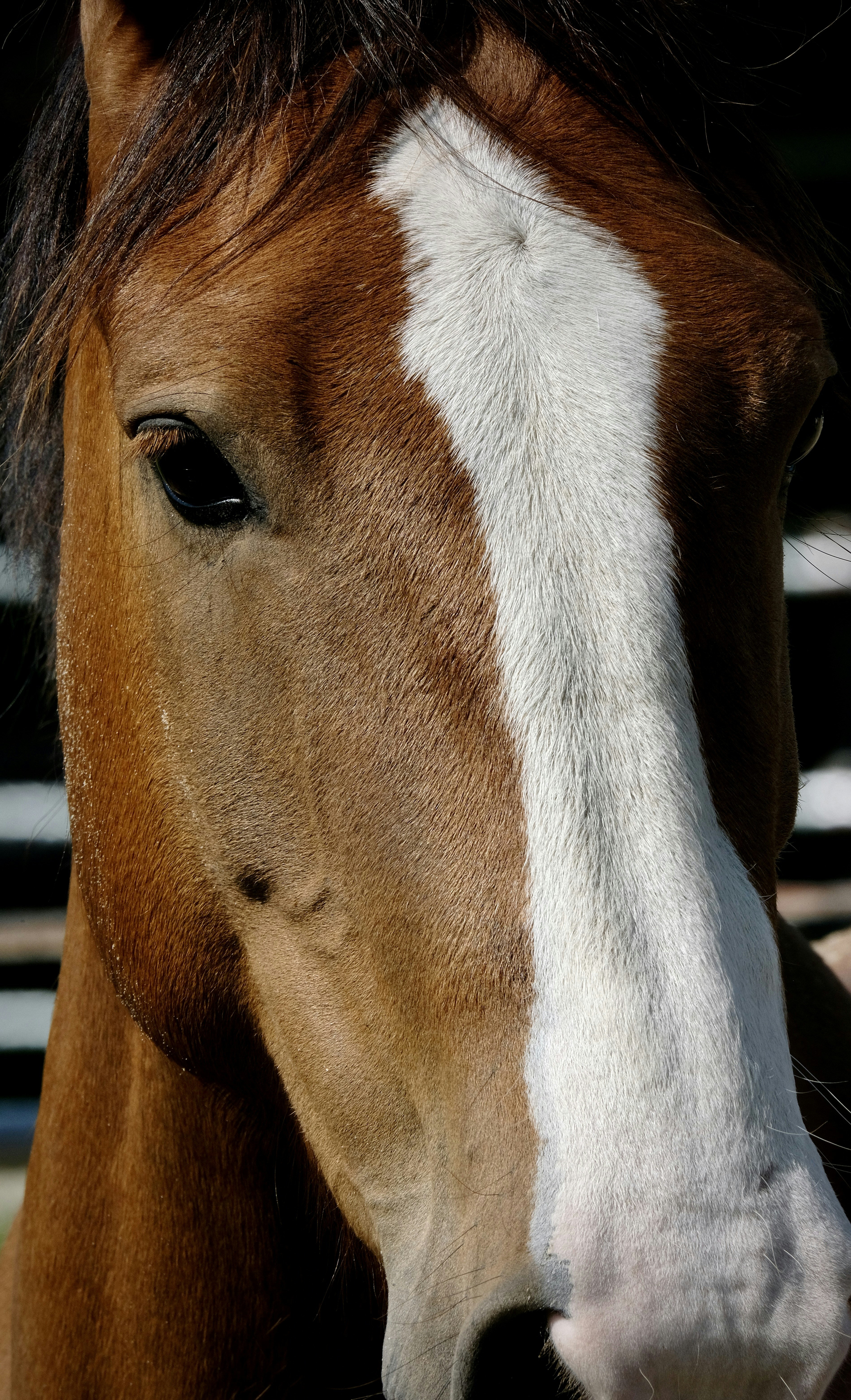 Photo by haberdoedas2