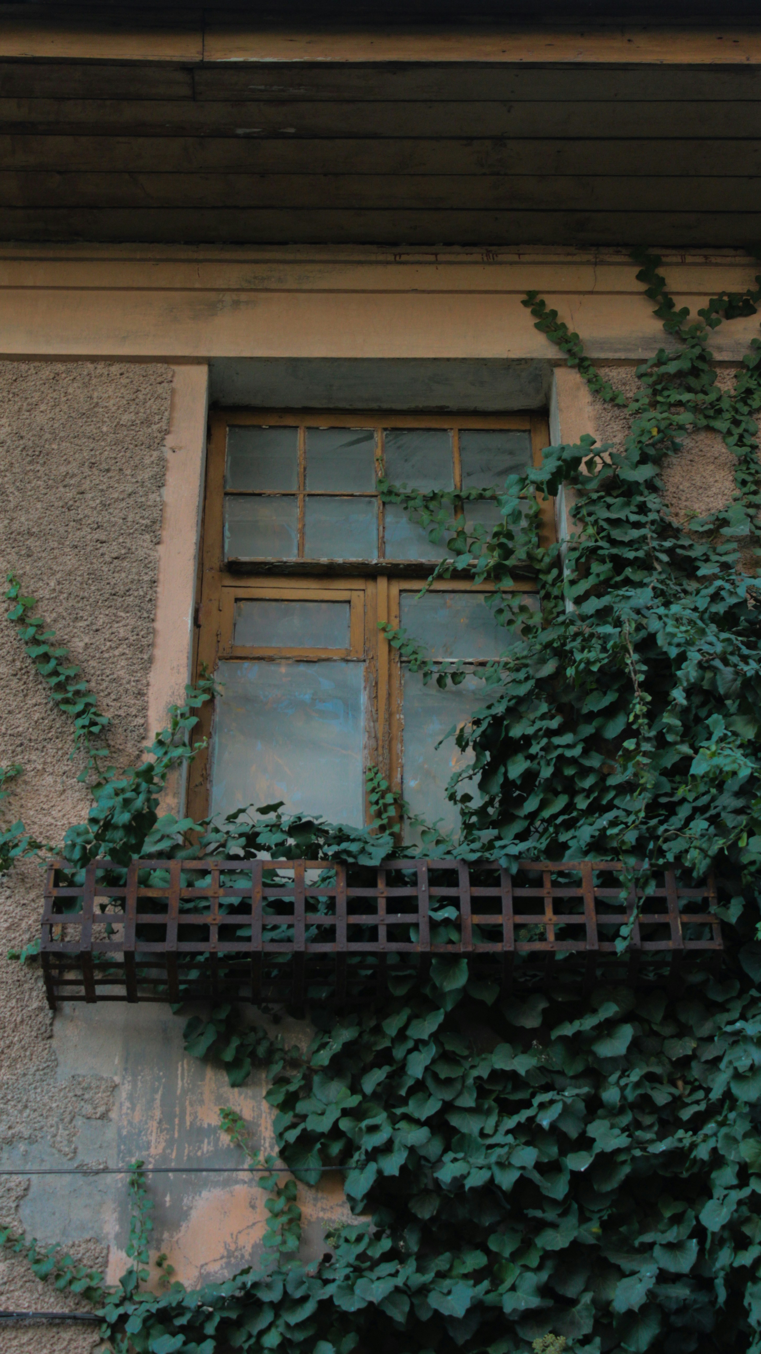 Photo by thievesdestiny