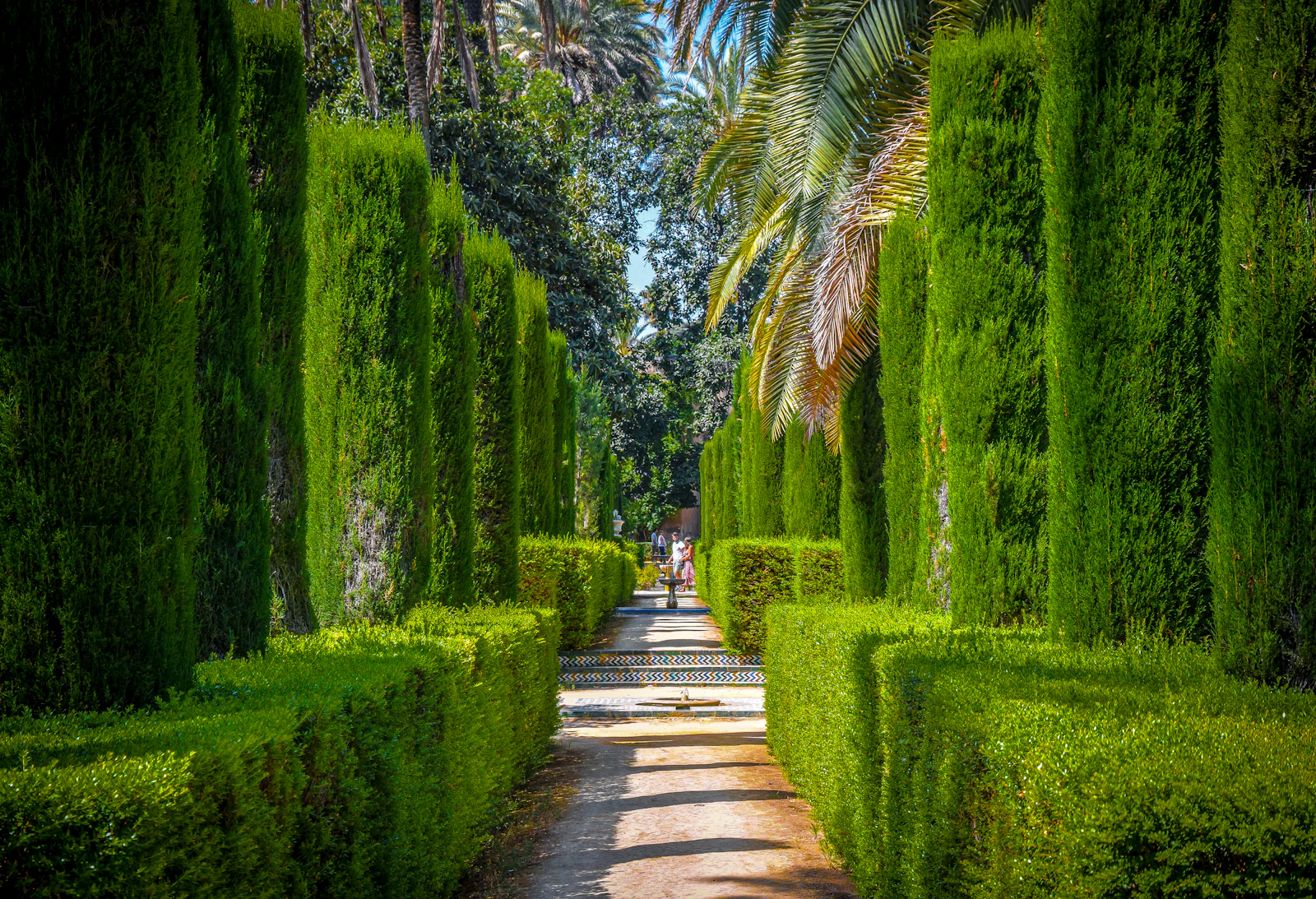 Landscape Design work example