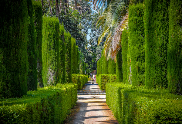 Pathway Design