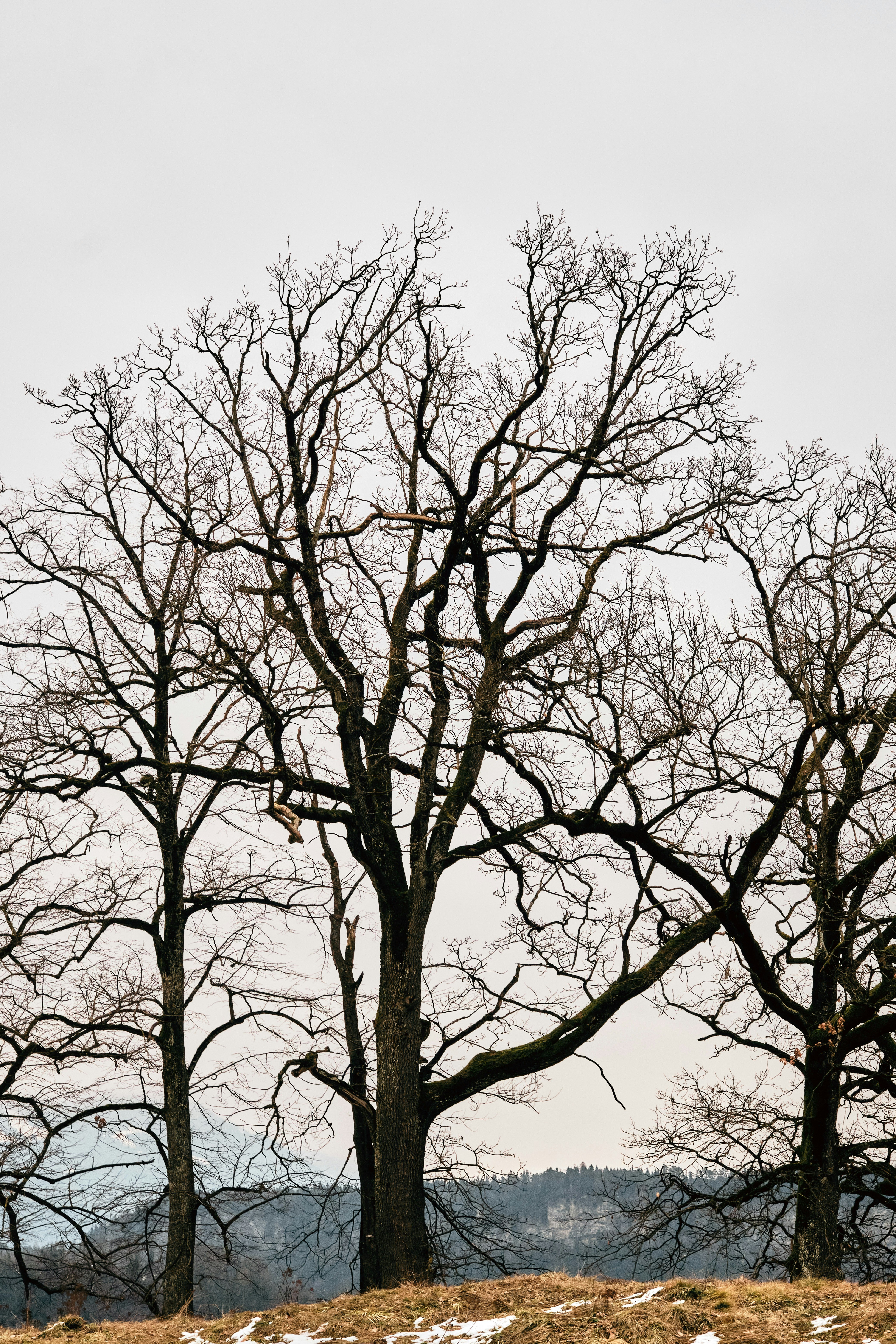 Photo by marcus_ganahl