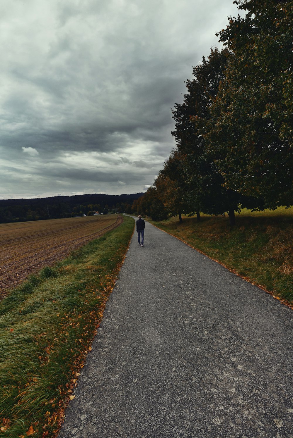 a person walking down a road in the middle of a field