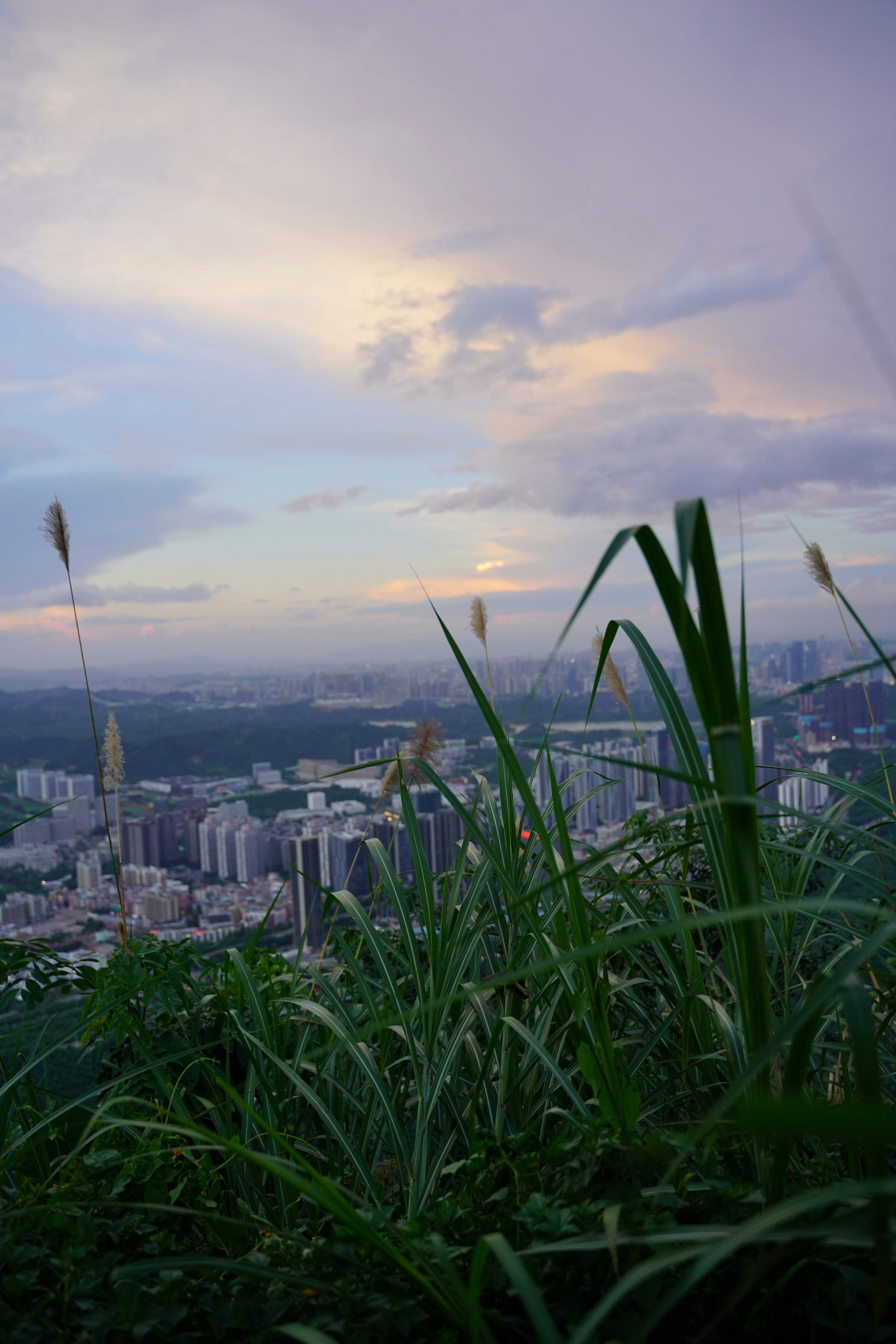a view of a city from the top of a hill