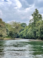 A calm river flowing through a lush green forest under a clear sky.