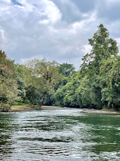 A calm river flowing through a lush green forest under a clear sky.
