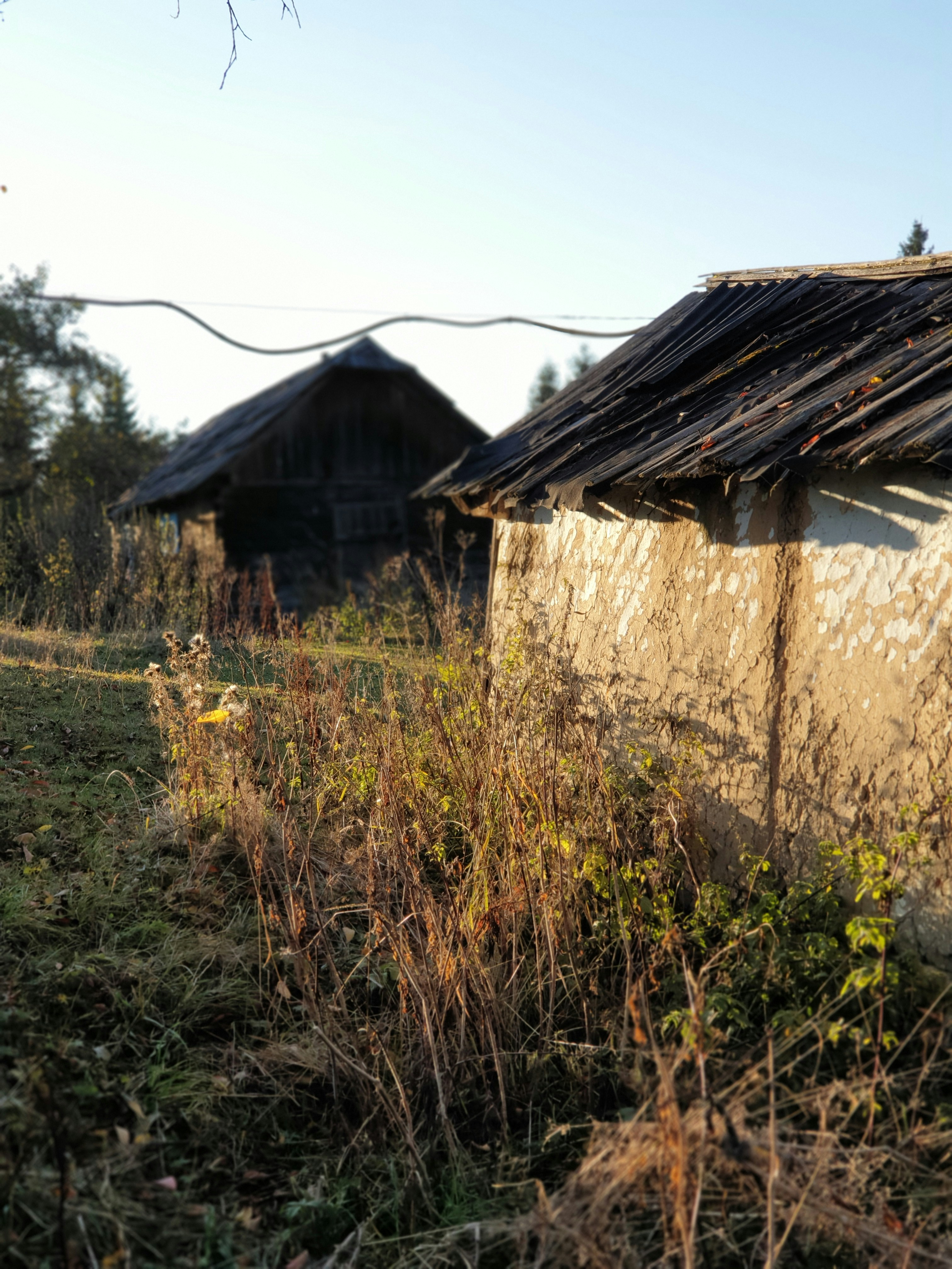 Photo by illiakholin