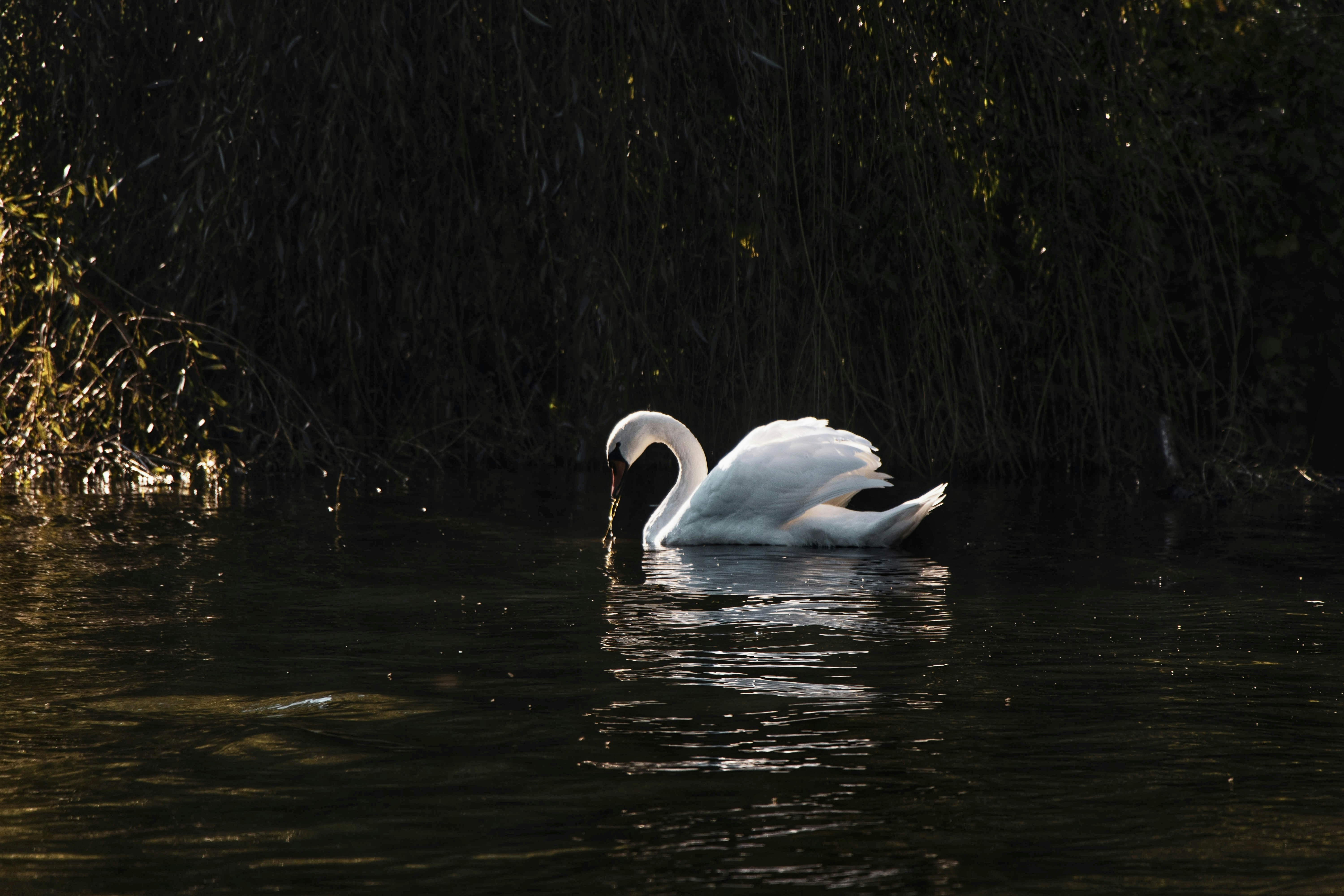 Photo by eddie2023