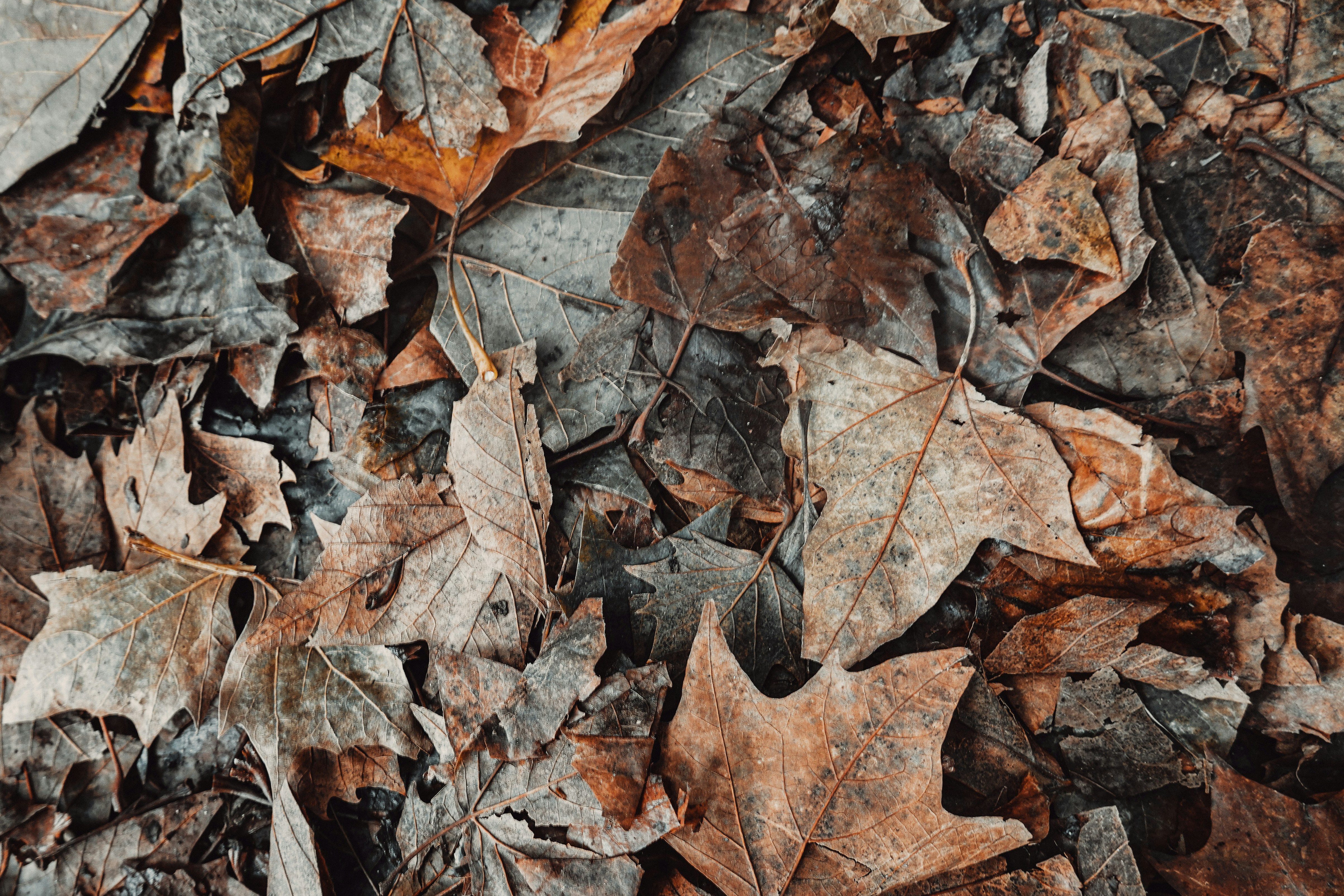 Photo by reganography