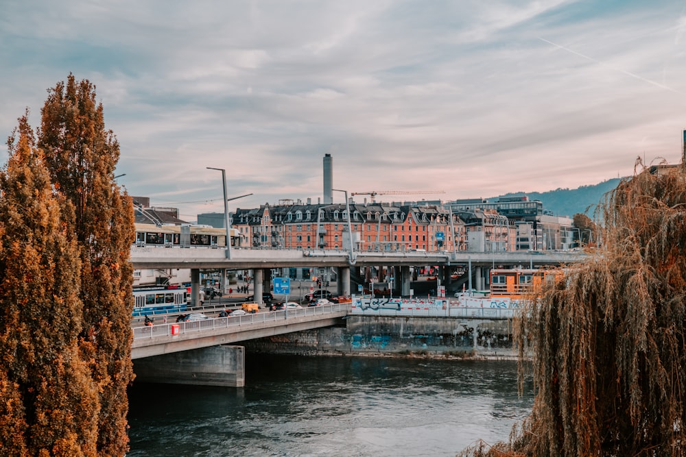 a bridge over a body of water with buildings in the background