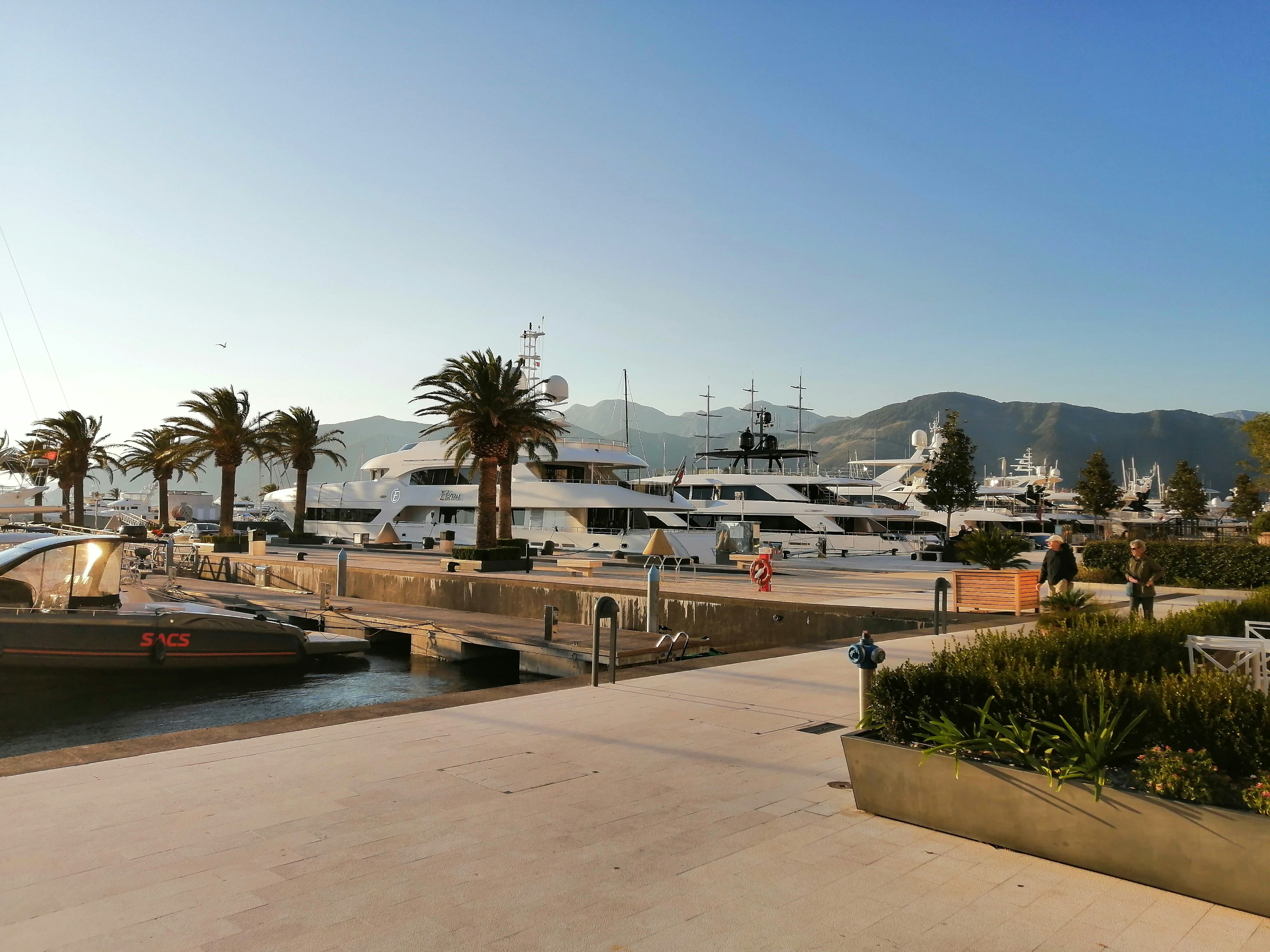 a boat docked at a pier with palm trees in the foreground