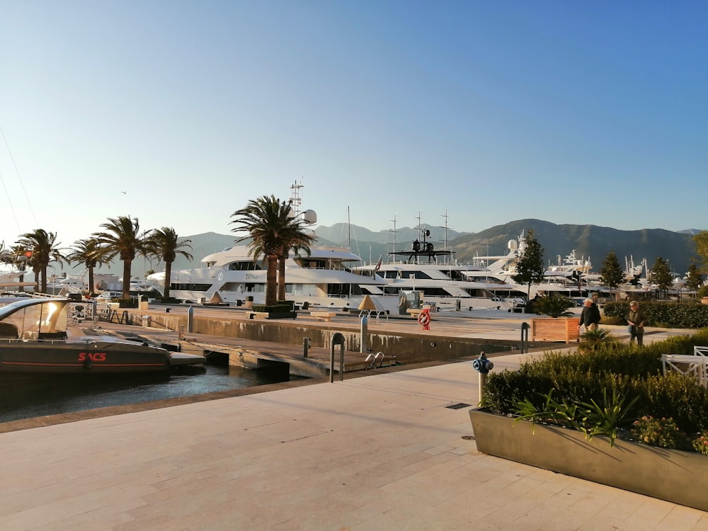 a boat docked at a pier with palm trees in the foreground