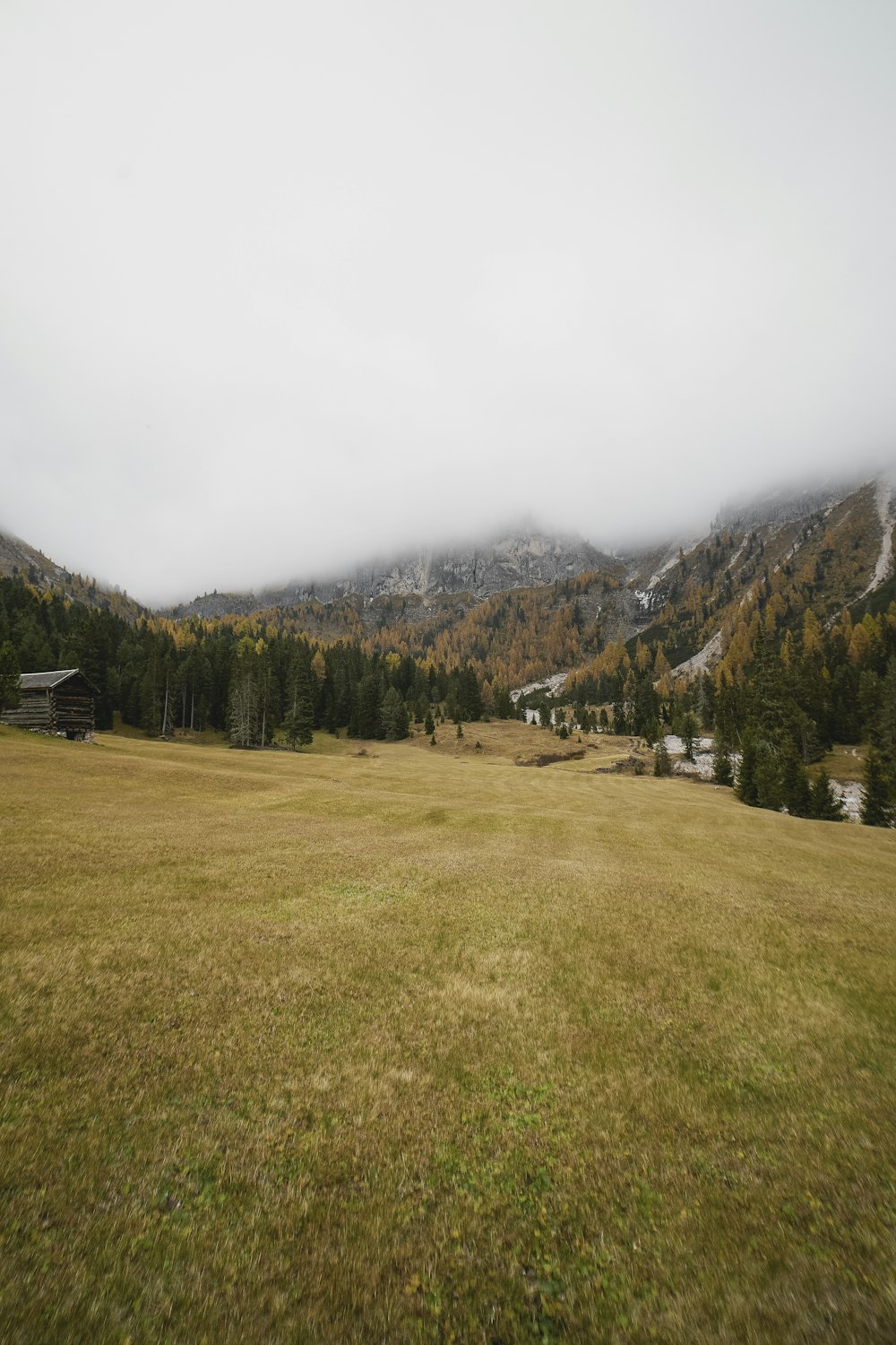 a grassy field with mountains in the background