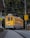 A yellow and blue tram moves along the track surrounded by lush green trees and various overhead electrical wires. There are a few signs around, one of which instructs to reduce speed. The tram is number 23 and has an indication that it goes to Dois Irmãos.