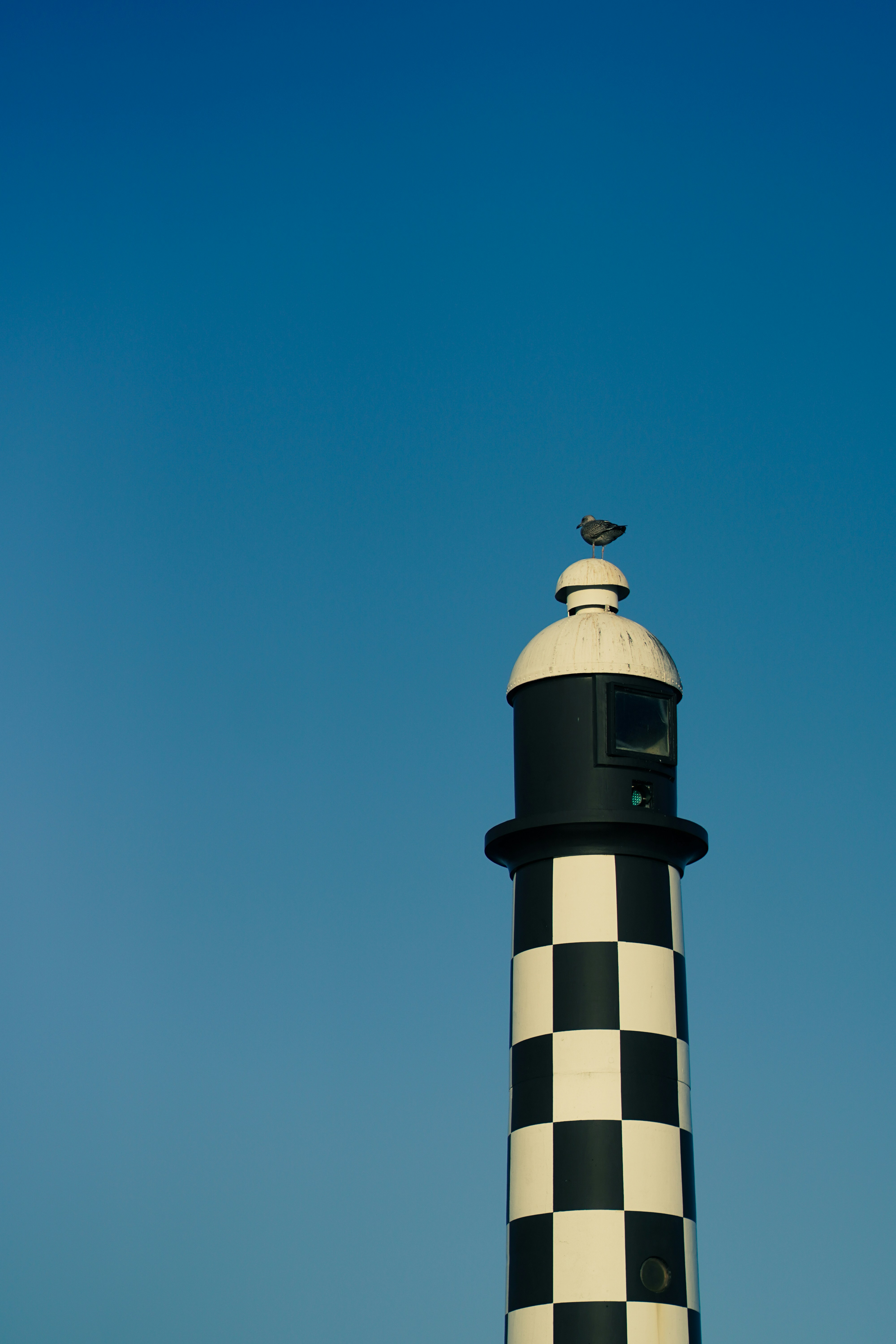 a black and white lighthouse with a bird on top
