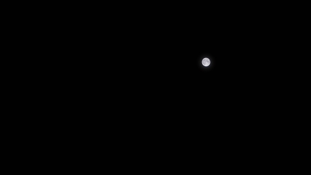 the moon is visible in the dark sky